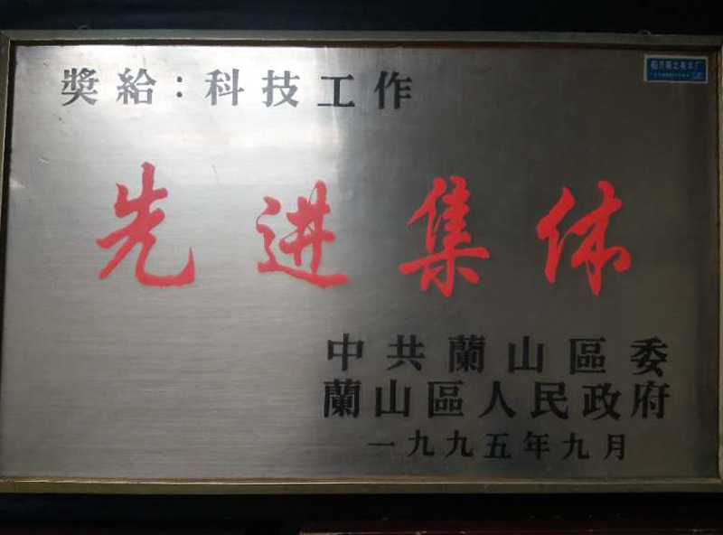 先進集體